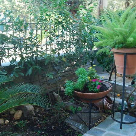 Affordable Luxury Garden Apartment Athens Exterior photo
